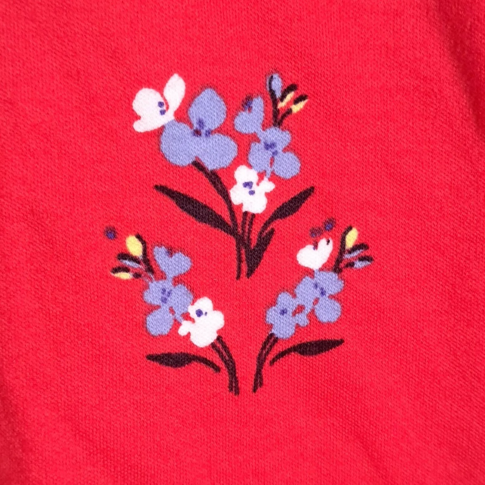 Charter Club Floral-Print Quarter-Sleeve Cotton Top Medium